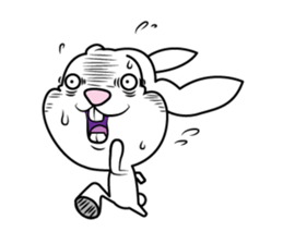 Holland Lop USAMARON sticker #10305306