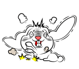 Holland Lop USAMARON sticker #10305314