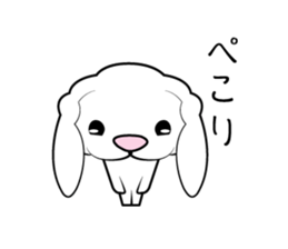 Holland Lop USAMARON sticker #10305335