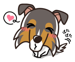 iinu - Rough Collie sticker #10306307