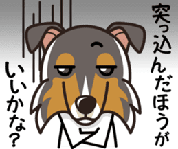 iinu - Rough Collie sticker #10306308