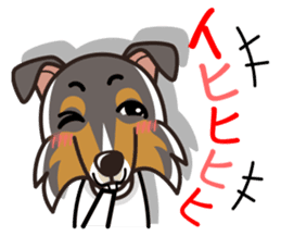 iinu - Rough Collie sticker #10306309