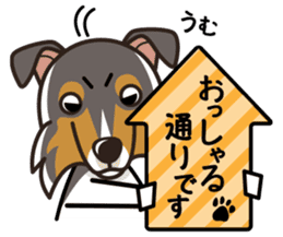 iinu - Rough Collie sticker #10306311
