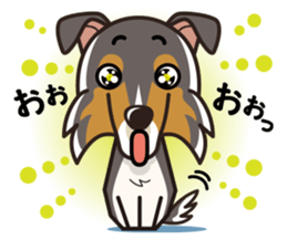 iinu - Rough Collie sticker #10306312