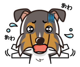 iinu - Rough Collie sticker #10306313