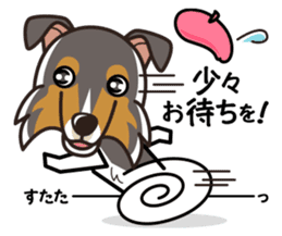 iinu - Rough Collie sticker #10306314