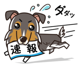 iinu - Rough Collie sticker #10306316