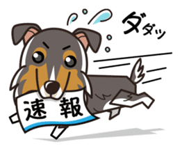 iinu - Rough Collie sticker #10306316