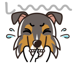 iinu - Rough Collie sticker #10306324