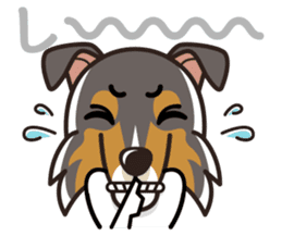 iinu - Rough Collie sticker #10306324