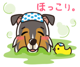 iinu - Rough Collie sticker #10306328