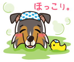 iinu - Rough Collie sticker #10306328