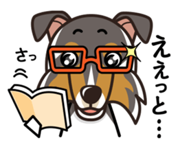 iinu - Rough Collie sticker #10306329