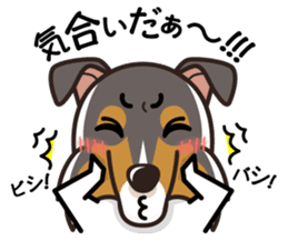 iinu - Rough Collie sticker #10306330