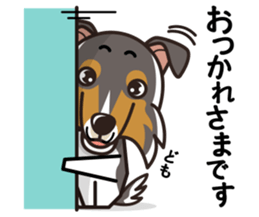 iinu - Rough Collie sticker #10306341