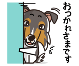iinu - Rough Collie sticker #10306341