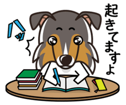 iinu - Rough Collie sticker #10306343