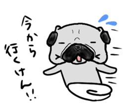 fukuoka pug sticker #10307721