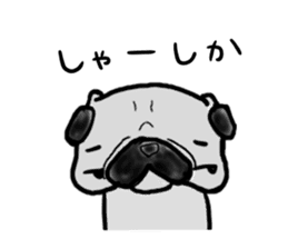 fukuoka pug sticker #10307723
