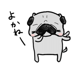 fukuoka pug sticker #10307724