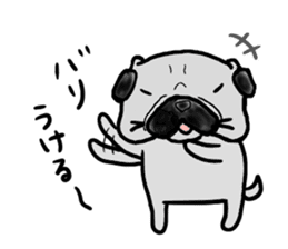fukuoka pug sticker #10307728
