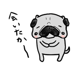 fukuoka pug sticker #10307737