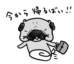 fukuoka pug sticker #10307739