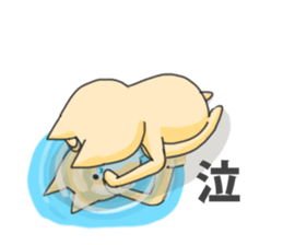 the robust cat sticker #10310039