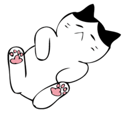 HATIWARE cat and paw sticker #10311486