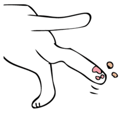 HATIWARE cat and paw sticker #10311495