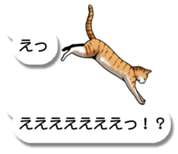 Cats love balloon sticker #10312564