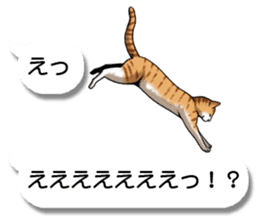 Cats love balloon sticker #10312564