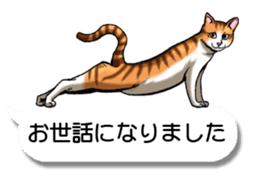 Cats love balloon sticker #10312575