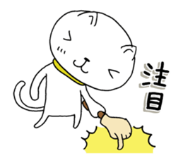 The cat which is a good feeling 6 sticker #10314477