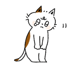 Three cats and your reply sticker #10316257
