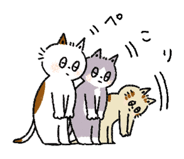 Three cats and your reply sticker #10316258