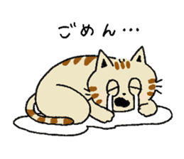 Three cats and your reply sticker #10316261