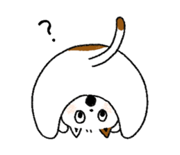 Three cats and your reply sticker #10316276