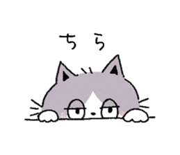 Three cats and your reply sticker #10316277