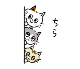 Three cats and your reply sticker #10316279
