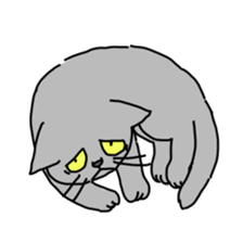 Funny Face Cats Sticker sticker #10317319