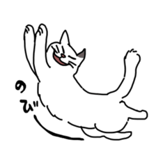 Funny Face Cats Sticker sticker #10317323