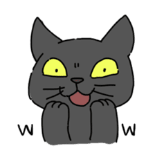 Funny Face Cats Sticker sticker #10317324