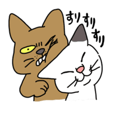 Funny Face Cats Sticker sticker #10317329