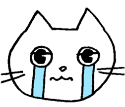 CAT,CAT,CAT sticker #10322822