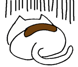 CAT,CAT,CAT sticker #10322844