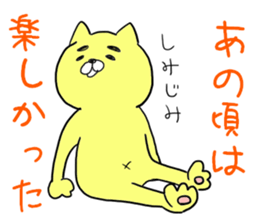 Cat to discoloration sticker #10324053