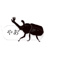 There are a bug and a fish in a frame. sticker #10325856