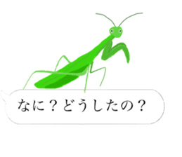 There are a bug and a fish in a frame. sticker #10325859