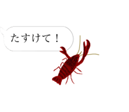 There are a bug and a fish in a frame. sticker #10325861